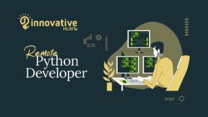 remote python developer